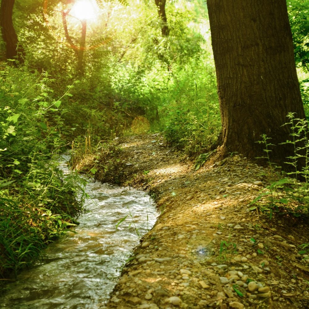 photo-rivière-apaisante Image apaisante au cabinet de psychothérapie à Nort sur Erdre entre Nozay et Casson